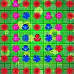 Flower Burst
