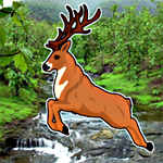 Hidden Deer