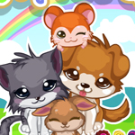 Pretty Pet Care